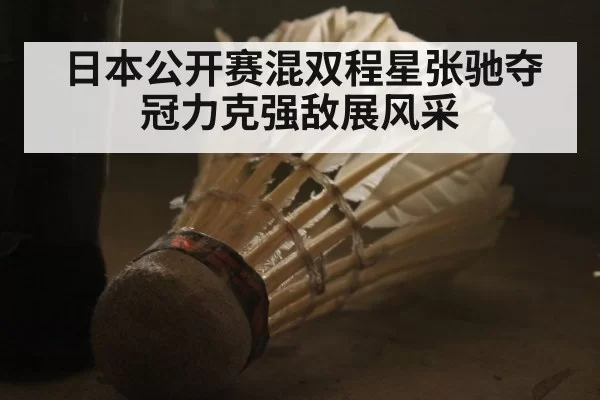 日本公开赛混双程星张驰夺冠力克强敌展风采